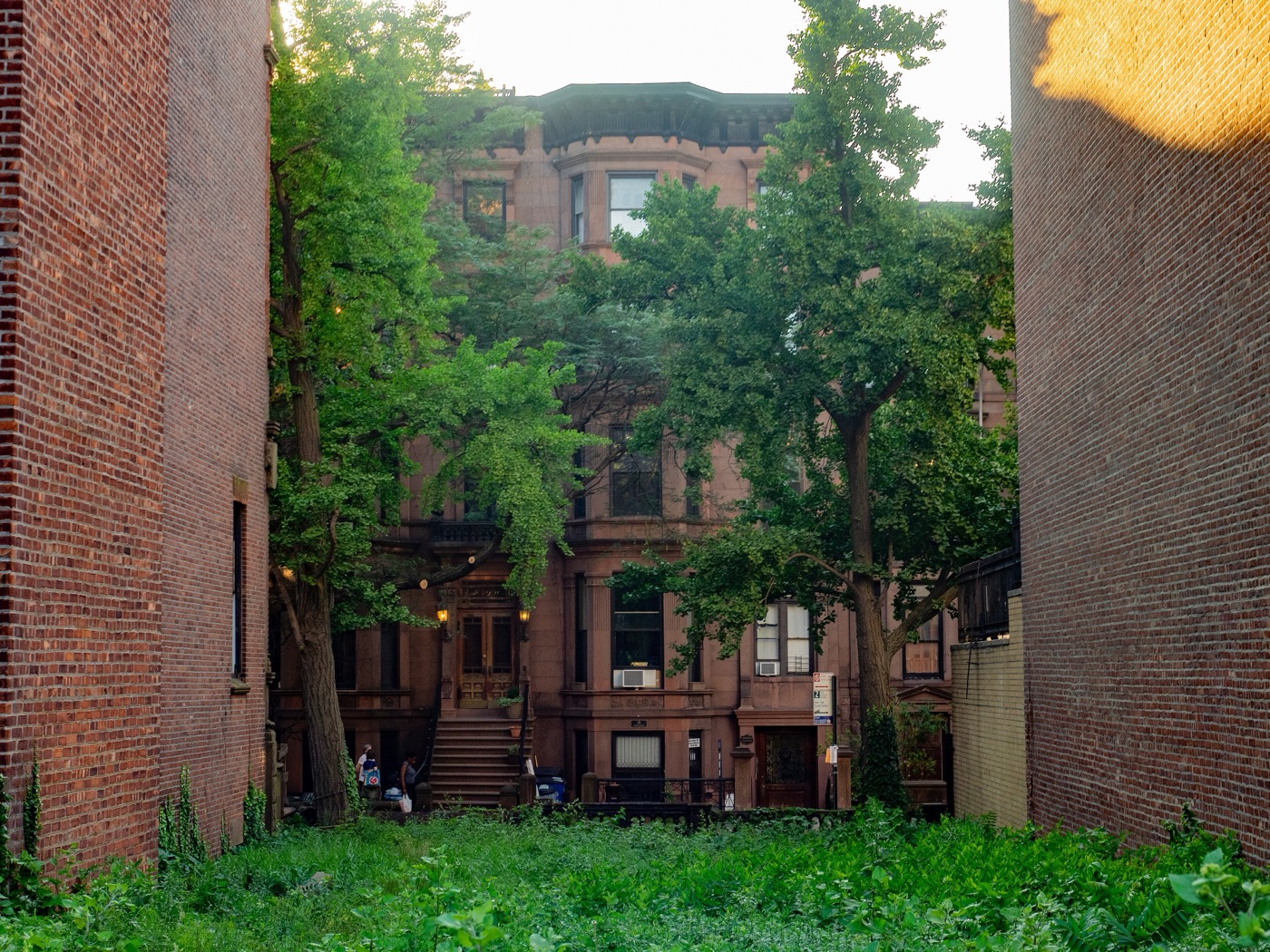 A brownstone behind trees in Park Slope